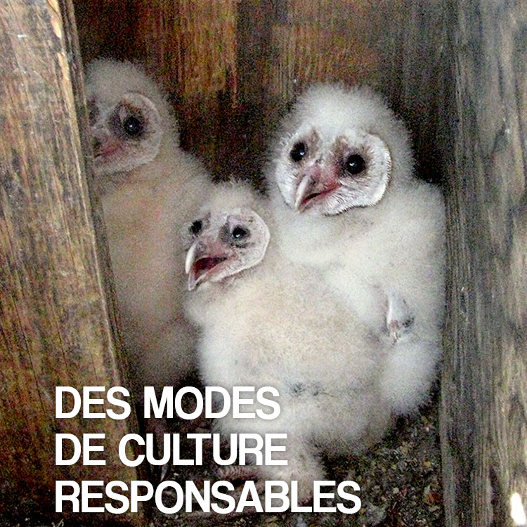 Responsiby Grown