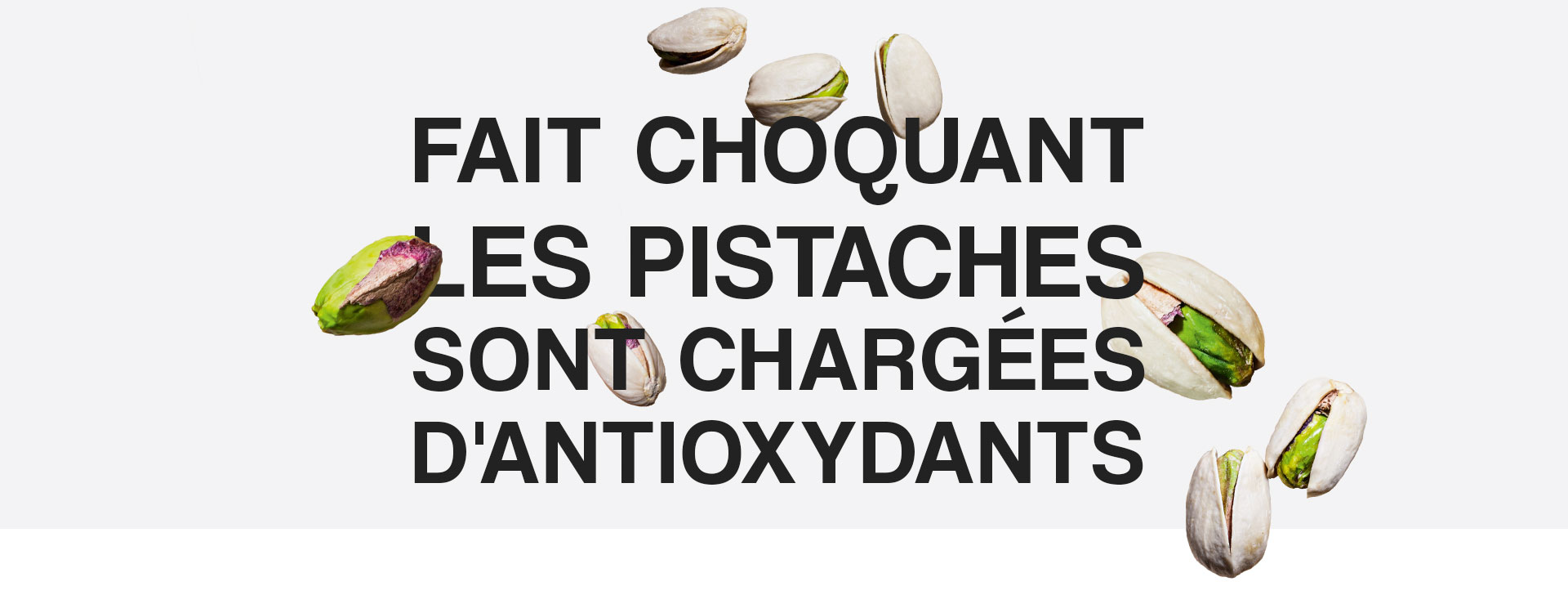 Antioxidant Powerhouse