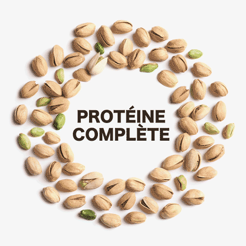 American Pistachio flexing